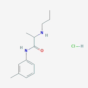 molecular formula C13H21ClN2O B13855130 Prilocaine Hydrochloride Imp. D (EP); Prilocaine Imp. D (EP); (RS)-N-(3-Methyl-phenyl)-2-(propylamino)propanamide Hydrochloride; Prilocaine Hydrochloride Imp. D (EP) as Hydrochloride; Prilocaine Hydrochloride Impurity D as Hydrochloride; Prilocaine Impurity D as Hydrochloride 