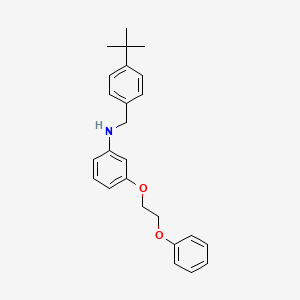 molecular formula C25H29NO2 B1385525 N-[4-(Tert-butyl)benzyl]-3-(2-phenoxyethoxy)-aniline CAS No. 1040686-14-3