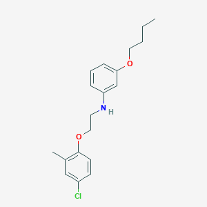molecular formula C19H24ClNO2 B1385537 N-(3-Butoxyphenyl)-N-[2-(4-chloro-2-methylphenoxy)ethyl]amine CAS No. 1040682-99-2