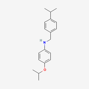 molecular formula C19H25NO B1385564 4-Isopropoxy-N-(4-isopropylbenzyl)aniline CAS No. 1039911-43-7