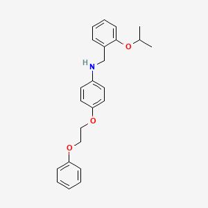 molecular formula C24H27NO3 B1385574 N-(2-Isopropoxybenzyl)-4-(2-phenoxyethoxy)aniline CAS No. 1040691-93-7