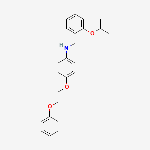 N-(2-Isopropoxybenzyl)-4-(2-phenoxyethoxy)aniline
