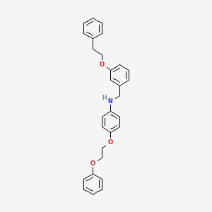 molecular formula C29H29NO3 B1385575 N-[3-(Phenethyloxy)benzyl]-4-(2-phenoxyethoxy)-aniline CAS No. 1040692-00-9