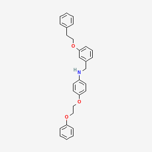 N-[3-(Phenethyloxy)benzyl]-4-(2-phenoxyethoxy)-aniline
