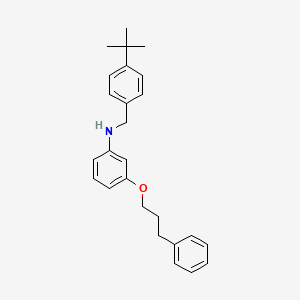 molecular formula C26H31NO B1385582 N-[4-(Tert-butyl)benzyl]-3-(3-phenylpropoxy)-aniline CAS No. 1040690-48-9