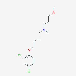 molecular formula C14H21Cl2NO2 B1385585 N-[4-(2,4-Dichlorophenoxy)butyl]-N-(3-methoxypropyl)amine CAS No. 1040680-70-3