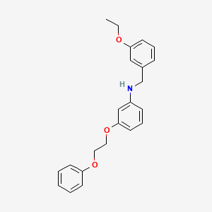 molecular formula C23H25NO3 B1385601 N-(3-Ethoxybenzyl)-3-(2-phenoxyethoxy)aniline CAS No. 1040686-39-2