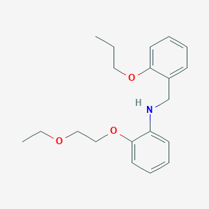 2-(2-Ethoxyethoxy)-N-(2-propoxybenzyl)aniline