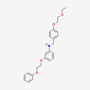 N-[4-(2-Ethoxyethoxy)benzyl]-3-(2-phenoxyethoxy)aniline