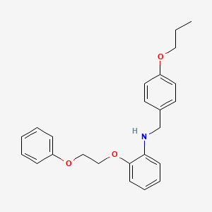 2-(2-Phenoxyethoxy)-N-(4-propoxybenzyl)aniline