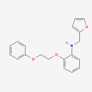 molecular formula C19H19NO3 B1385639 N-(2-Furylmethyl)-2-(2-phenoxyethoxy)aniline CAS No. 1040687-25-9