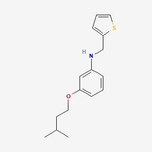 3-(Isopentyloxy)-N-(2-thienylmethyl)aniline