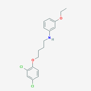 molecular formula C18H21Cl2NO2 B1385644 N-[4-(2,4-Dichlorophenoxy)butyl]-3-ethoxyaniline CAS No. 1040685-16-2