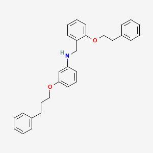 molecular formula C30H31NO2 B1385663 N-[2-(Phenethyloxy)benzyl]-3-(3-phenylpropoxy)aniline CAS No. 1040691-00-6