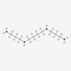 molecular formula C10H26N4 B13856842 Spermine-d20 