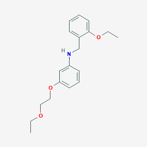 molecular formula C19H25NO3 B1385697 N-(2-Ethoxybenzyl)-3-(2-ethoxyethoxy)aniline CAS No. 1040692-11-2