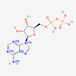 molecular formula C10H15N5O10P2 B13857066 Adenosine 5'-Diphosphate-15N5 