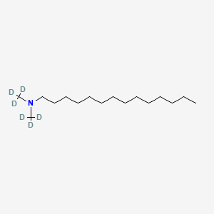 molecular formula C16H35N B13857113 N,N-Dimethyl-D6-tetradecylamine 