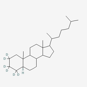 molecular formula C27H48 B13857549 5a-Cholestane-2,2,3,3,4,4-d6 