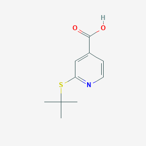 B1385760 2-(Tert-butylsulfanyl)pyridine-4-carboxylic acid CAS No. 1019539-10-6