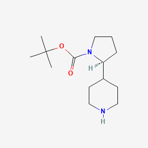 molecular formula C14H26N2O2 B1385849 (S)-tert-Butyl 2-(piperidin-4-yl)pyrrolidine-1-carboxylate CAS No. 1449131-15-0