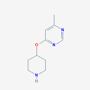 molecular formula C10H15N3O B13858941 4-Methyl-6-(piperidin-4-yloxy)pyrimidine 