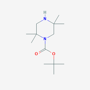 molecular formula C13H26N2O2 B13859015 Tert-butyl 2,2,5,5-tetramethylpiperazine-1-carboxylate 