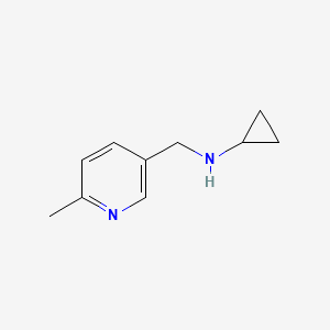 molecular formula C10H14N2 B1386060 Cyclopropyl-(6-methylpyridin-3-ylmethyl)-amine CAS No. 1094655-05-6