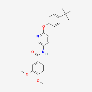 molecular formula C24H26N2O4 B13860816 N-[6-(4-tert-butylphenoxy)pyridin-3-yl]-3,4-dimethoxybenzamide 