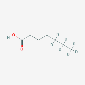 molecular formula C7H14O2 B13860817 Heptanoic-5,5,6,6,7,7,7-d7 acid 
