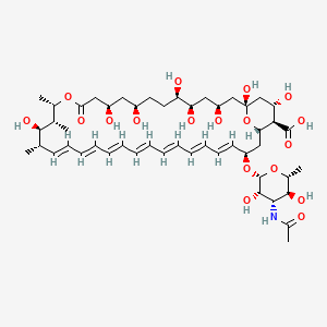 molecular formula C49H75NO18 B13861345 (1R,3S,5R,6R,9R,11R,15S,16R,17R,18S,19E,21E,23E,25E,27E,29E,31E,33R,35S,36R,37S)-33-[(2R,3S,4S,5S,6R)-4-acetamido-3,5-dihydroxy-6-methyloxan-2-yl]oxy-1,3,5,6,9,11,17,37-octahydroxy-15,16,18-trimethyl-13-oxo-14,39-dioxabicyclo[33.3.1]nonatriaconta-19,21,23,25,27,29,31-heptaene-36-carboxylic acid 