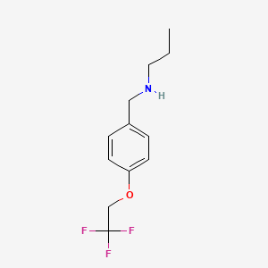 molecular formula C12H16F3NO B1386146 Propyl({[4-(2,2,2-trifluoroethoxy)phenyl]methyl})amine CAS No. 1095047-65-6