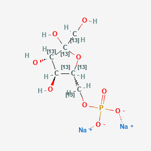 molecular formula C6H11Na2O9P B13861608 D-Fructose 6-Phosphate-13C6 Disodium Salt 