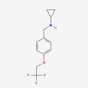 molecular formula C12H14F3NO B1386192 Cyclopropyl-[4-(2,2,2-trifluoro-ethoxy)-benzyl]-amine CAS No. 1095127-74-4