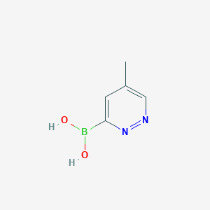 molecular formula C5H7BN2O2 B13862108 (5-Methylpyridazin-3-yl)boronic acid 