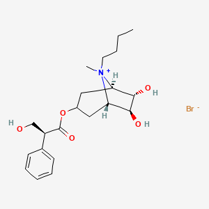 molecular formula C21H32BrNO5 B13862606 (1R,3R,5S,6S,7S,8S)-8-Butyl-6,7-dihydroxy-3-(((S)-3-hydroxy-2-phenylpropanoyl)oxy)-8-methyl-8-azabicyclo[3.2.1]octan-8-ium Bromide 