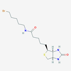 molecular formula C15H26BrN3O2S B13863904 5-[(3aS,4S,6aR)-2-oxo-1,3,3a,4,6,6a-hexahydrothieno[3,4-d]imidazol-4-yl]-N-(5-bromopentyl)pentanamide 