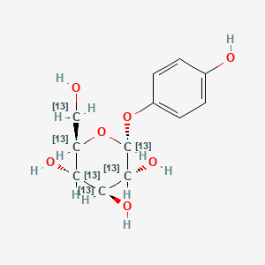 molecular formula C12H16O7 B13863976 alpha-Arbutin-13C6 