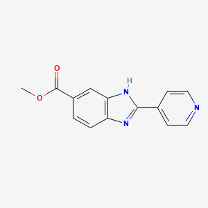 molecular formula C14H11N3O2 B13866052 methyl 2-pyridin-4-yl-3H-benzimidazole-5-carboxylate 