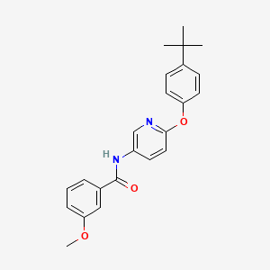 molecular formula C23H24N2O3 B13866327 N-[6-(4-tert-butylphenoxy)pyridin-3-yl]-3-methoxybenzamide 