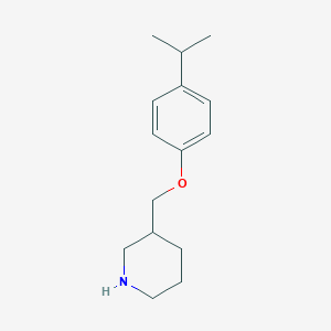 3-[(4-Isopropylphenoxy)methyl]piperidine