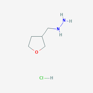 molecular formula C5H13ClN2O B1386658 (Oxolan-3-ylmethyl)hydrazine hydrochloride CAS No. 1170929-92-6
