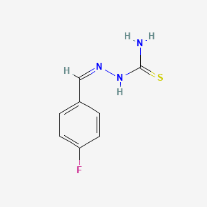 molecular formula C8H8FN3S B13867254 4-Flurobenzylidenehydrazinecarbothioamide 