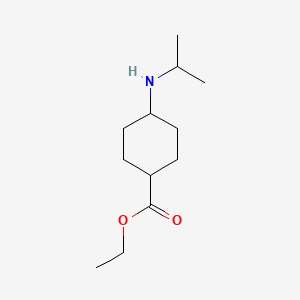 molecular formula C12H23NO2 B13867415 Ethyl 4-(propan-2-ylamino)cyclohexane-1-carboxylate 