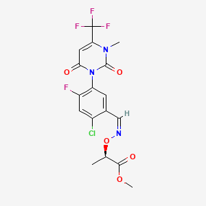 molecular formula C17H14ClF4N3O5 B13867611 Flufenoximacil 