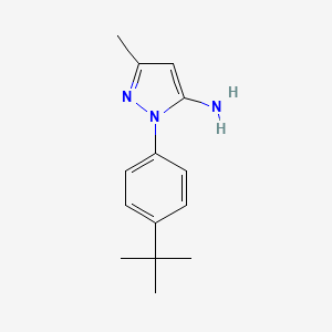 molecular formula C14H19N3 B1386878 1-(4-tert-Butylphenyl)-3-methyl-1H-pyrazol-5-amine CAS No. 866472-25-5