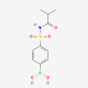 molecular formula C10H14BNO5S B1386920 4-(N-Isobutyrylsulfamoyl)phenylboronic acid CAS No. 957120-73-9