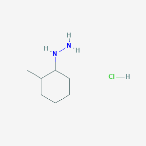 (2-Methylcyclohexyl)hydrazine hydrochloride