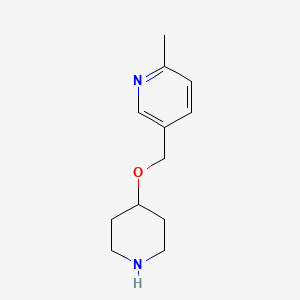 molecular formula C12H18N2O B13870192 2-Methyl-5-(piperidin-4-yloxymethyl)pyridine 