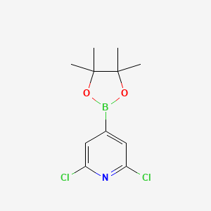 molecular formula C11H14BCl2NO2 B1387092 2,6-Dichloro-4-(4,4,5,5-tetramethyl-1,3,2-dioxaborolan-2-yl)pyridine CAS No. 408492-27-3